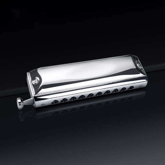 Tien-Gat Chromatische Harmonica T1040 Professionele Prestaties 10-Hole 40-Tone Harmonica