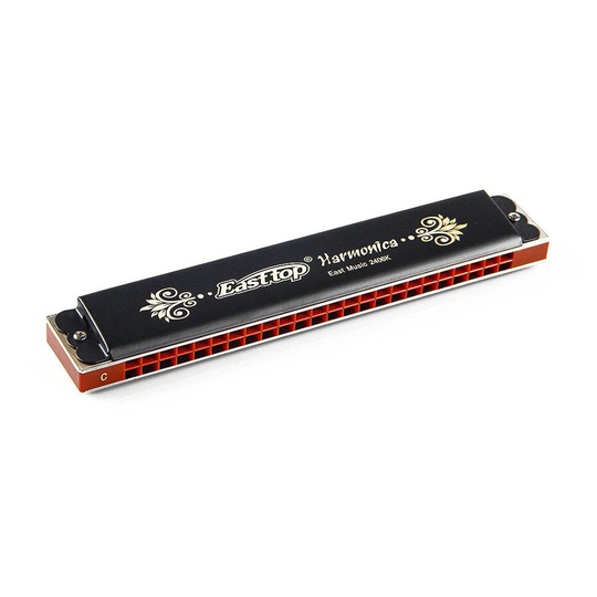 Easttop Tremolo T2406K 24 Gaten Harmonica, Tremolo Harmonica, Mondharmonica, Zwarte Verf