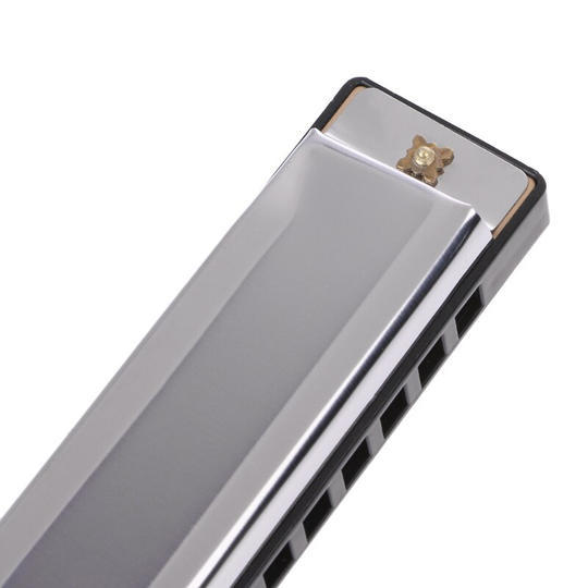 Blues Harmonica 10 Holes Toonsoort C Muziekinstrument Roestvrijstalen Met Case N0HA
