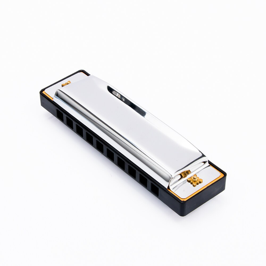 Blues Harmonica 10 Gaten 20 Tone Sleutel Van C Blues Jazz Rock Folk Muziekinstrument Diatonische Harp Roestvrij Staal Met case