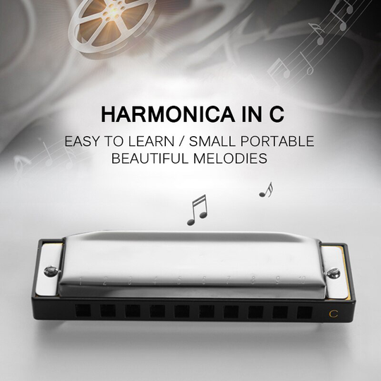 Professionele 24 Hole Harmonica Key Draagbare Duurzame Metalen Harmonica Houtblazers Instrument Voor Beginners 4 Kleur Blues Harmonica