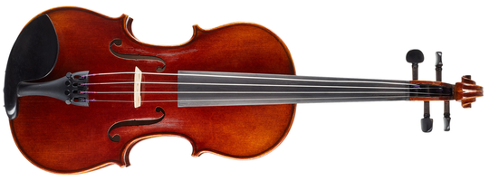 Artland AV100 Advanced Violin 4/4
