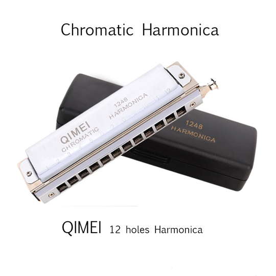Chromatische Harmonica Qimei 12 Gaten/48 Tones Mond Orgel Professionele Wind Muziekinstrument Beginner Student Vierkante Kam C1-D4