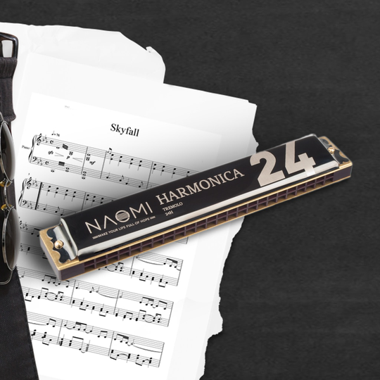 H1 Harmonica C Tone 24 Holes Tremolo Harmonica Muzikale Harmonica Beginners Kinderen Tremolo Harmonica Polyfone Zwart