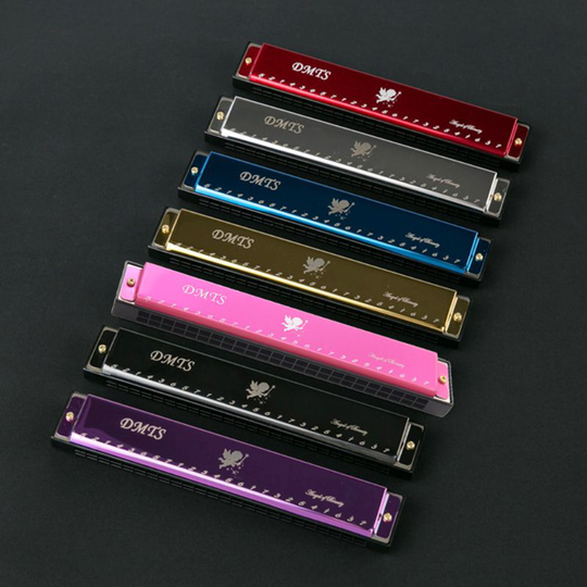 24 Gat Polyfone Harmonica Multi-Speaker Orgel Met Blues Folk Jazz Volwassen