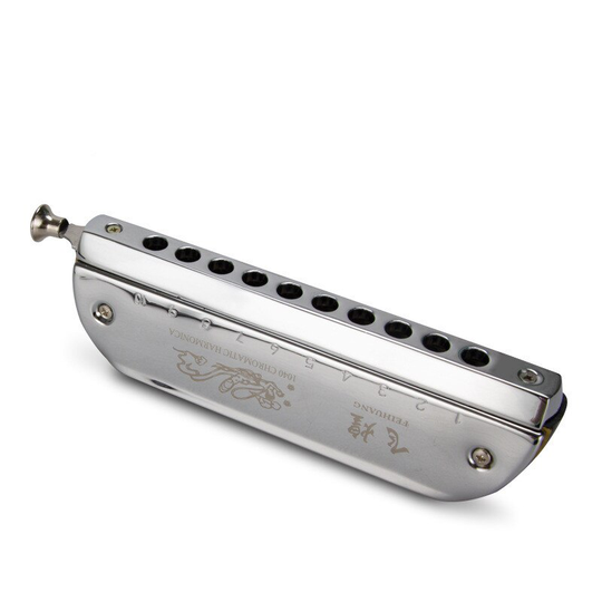 10 gat Chromatische Harmonica Ronde Blower C Tone Student Beginner Volwassen Playing Harmonica