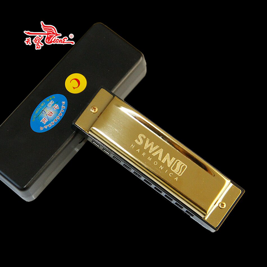 Diatonische Blues Harmonica/10 Hole Harmonica met 20 Tone Messing Reed Blues Harmonicon/C key Mondharmonica
