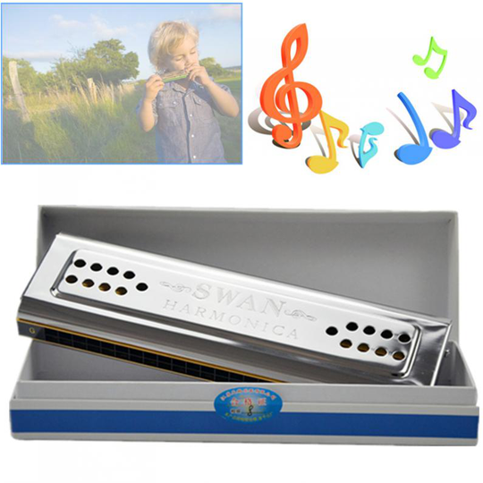 Professionele 24 Gaten Sleutel Van C & G Double-Side Tremolo Harmonica Muziekinstrument