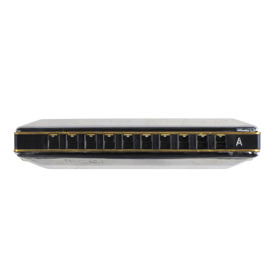 Huang Silver 10 Gaten Harp Harmonica Diatonische Blues EEN Sleutel 20 Tone met Harmonica Case