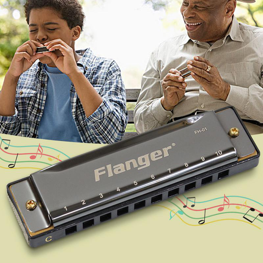 FH-01 Diatonische Blues Harmonica Standaard 10 Hole 20 Tone met Case C Sleutel Blues Muziekinstrument voor Beginner Professionals