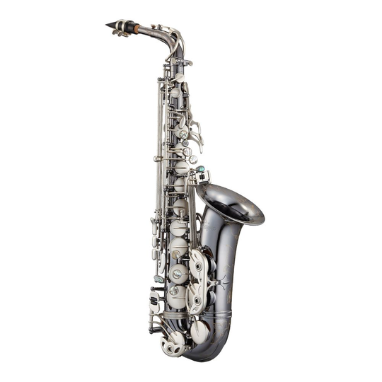 Antigua AS-4248 BC-GH Altsaxophon "Power Bell" Black Nickel/ Klappen matt silber