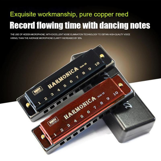 10 Hole Harmonica Metalen Harmonica Houtblazers Instrument Voor Beginners 5 Kleur Instrumentos Musicais Ondersteuning
