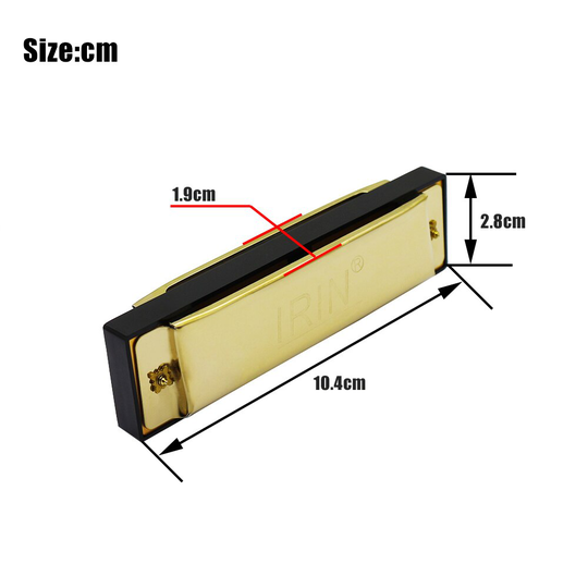 10 Gaten 20 Tone Diatonische Blues Harmonica Sleutel Van C Met Case Voor Beginner Kinderen Golden