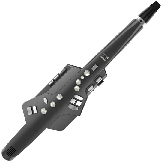 Roland AE-10G