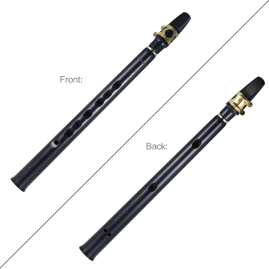 Mini Pocket Bb Saxofoon Sax ABS met Alto Mondstukken 2 pcs Reed Draagtas Houtblazers Instrument