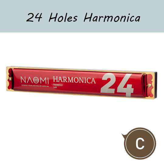 Professionele Tremolo Harmonica C Tone 24 Gaten Musical Harmonica Beginners Kinderen