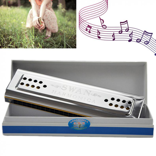 Harmonica Professionele 24 Gaten Sleutel Van C & G Double Side Tremolo Silver Chrome Harmonica Houtblazers Met Papier Doos