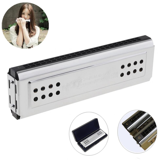Professionele 24 Gaten Sleutel Van C & G Zilver Double Side Tremolo Harmonica Voor Volwassen Beginner En Kinderen Houtblazers