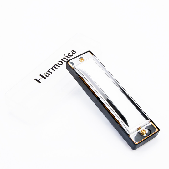 Blues Harmonica 10 Gaten 20 Tone Sleutel van C Zilver Kleur Jazz Rock Folk Muziekinstrument Diatonische Harp Met Case