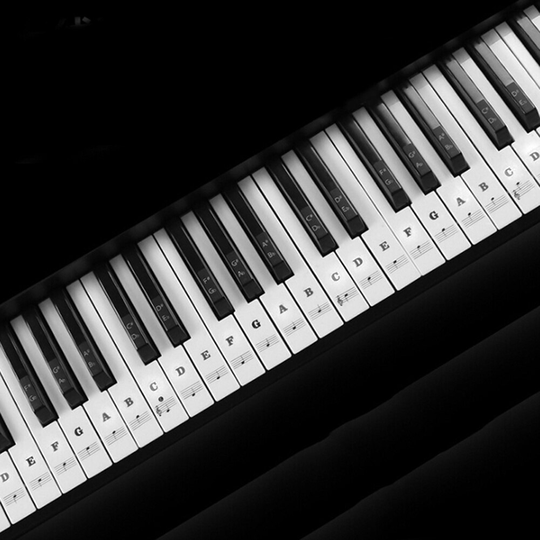Keyboard Piano Key Note Stickers Verwijderbare Elektronische Muziekinstrumenten Plezierige Instrument Levert Voor 37 49 54 61 88 Toetsen