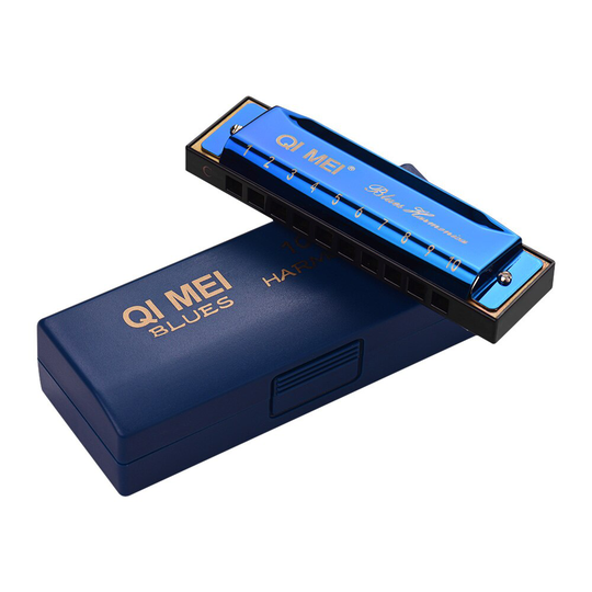 Mini Harmonica Sleutel van C 10 Gaten 20 Tunes Diatonische Harp Mouthorgan met Reinigingsdoekje en Opbergdoos voor Beginners