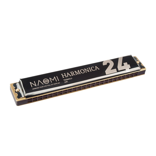 24 Holes Tremolo Harmonica Sleutel van C Rvs Mondharmonica Mondharmonica met Case Wind Instrument Rood