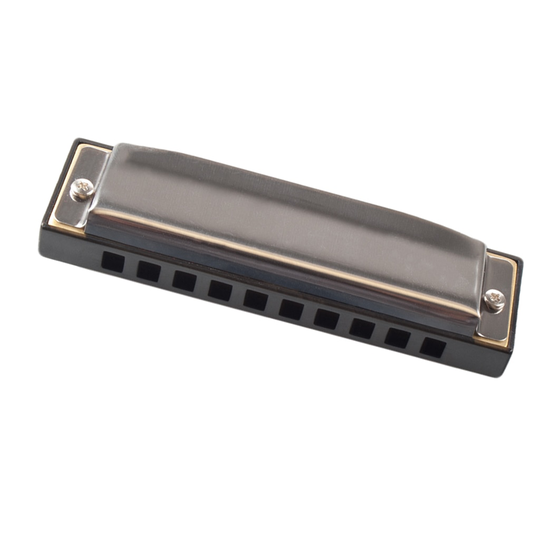 Diatonische Harmonica Swan Hamonica Mondharmonica Harmonica Accessoires