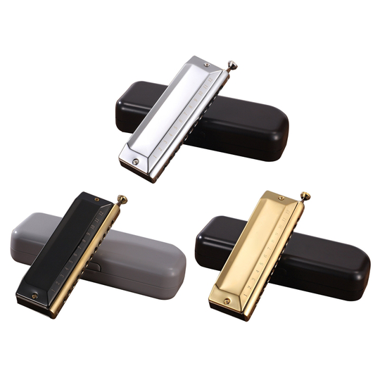 Harmonica 12 Gaten Harp 48 Tones Diatonische Harp Key C Blues Jazz Mondharmonica Harp Vroege Onderwijs Muziek Gevoel Training