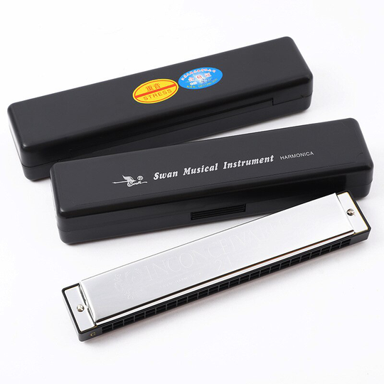 24-Hole Harmonica Polyfone C Harmonica Beginner Instrument Accent C Harmonica Standaard Bereik Harmonica