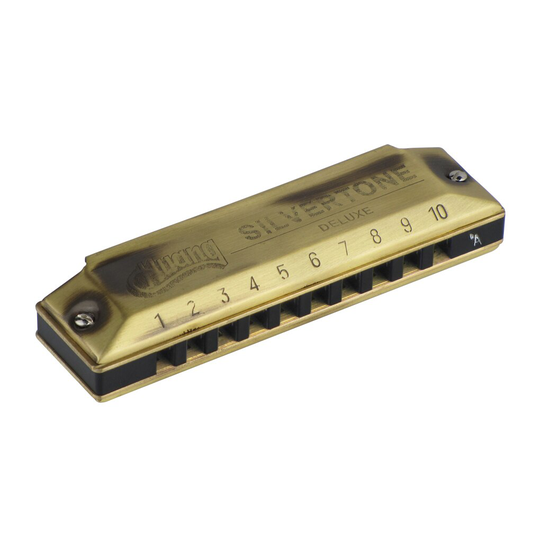 Huang Harmonica Diatonische 10 Gaten Blues Harp Mondharmonica bA Key Muziekinstrument