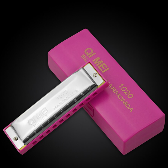 Blues Master Diatonische Harmonica 10 Holes Houder Unieke Melodie Mond Harp Harmonische Harmonica Enfant Folk Instrumenten BD50HH