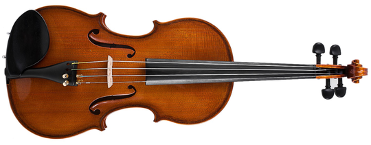 Strunal Schönbach Jiri Hodina Master violin (ausgepackt)