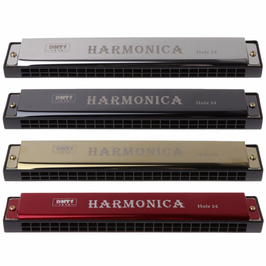 Professionele 24 Hole Harmonica Sleutel van C Mond Metalen Orgel voor Beginners