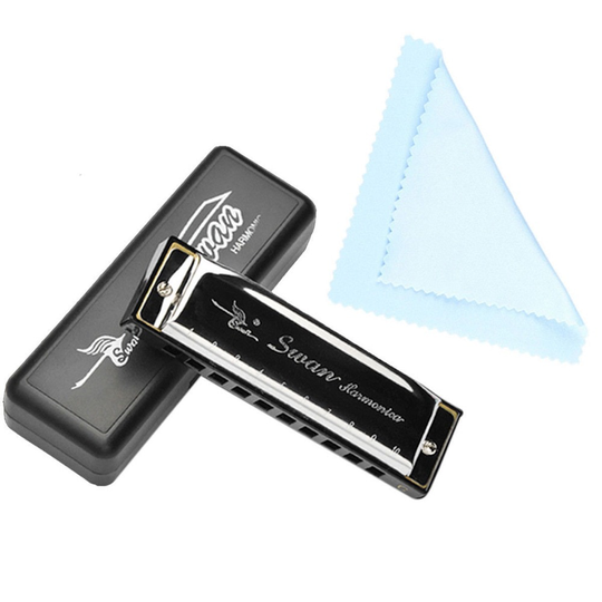 Harmonica 10 Holes toonsoort C ZILVER w/Case Blues Harp Rvs