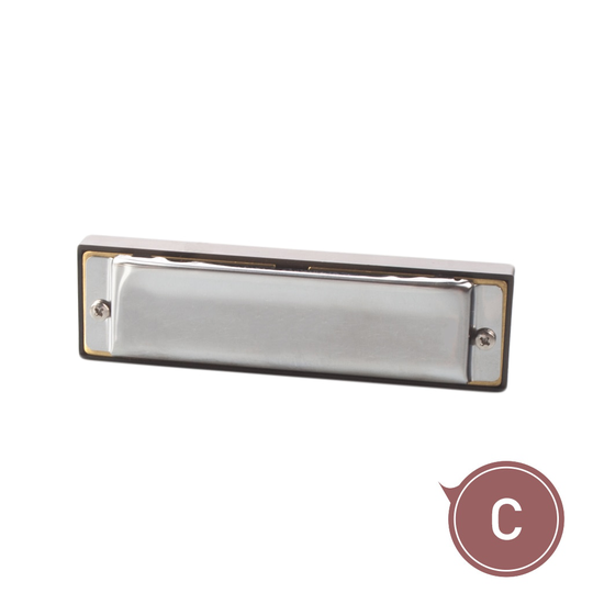 Uitstekende Harmonica 10 Gaten 20 Tone Sleutel van C Zilver Kleur Blues Jazz Rock Folk Muziek Muziekinstrument Diatonische Harp
