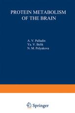 Protein Metabolism of the Brain