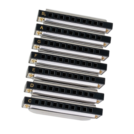 10-Hole Diatonische Harmonica Set - G, Een, Bb, C, D, E, F Sleutel 7 Harmonica Pack