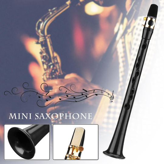 Pocket Sax Alto Mini Draagbare Saxofoon Kleine Saxofoon Met 4 Riet 8 Tandheelkundige Pad Draagtas Houtblazers Instrument Voor Beginner