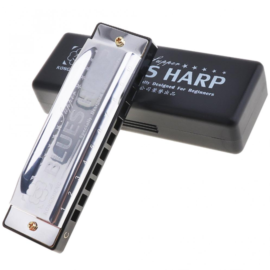 Harmonica 10 Holes Diatonische Blues Harp Mondharmonica Muziekinstrument Rvs Voor Kinderen