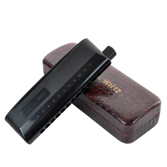 Gouden Vlinder 12 Gat Chromatische Harmonica WH12 Harp Professionele Muziekinstrument Mondharmonica Semi-Matte Abs Cover