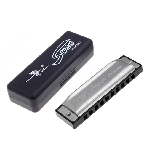10 Holes Harmonica Diatonische Blues Harp Mondharmonica Sleutel Van G Reed Met Case Zilveren Houtblazers Instrument