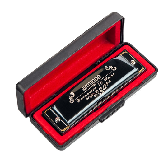 10 Gaten 20 Tones Blues Harmonica Beginners Mondharmonica Sleutel Van C Met Opbergtas Voor Studenten Kinderen