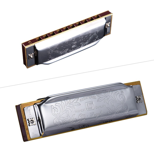 10 Gat Diatonische Blues Harmonica Armonicas Mond Orgel Houtblazers Muziekinstrument Melodica