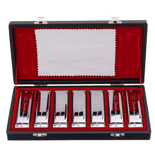 10 Holes Blues Harmonica Set 7 Toetsen Prestaties Haronica Abcdefg Sleutel Muziek Muziekinstrumenten Uitvoeren Huidige Doos