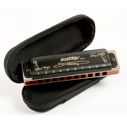 Professionele Jazz Blues 10 Holes Harmonica Muziekinstrument