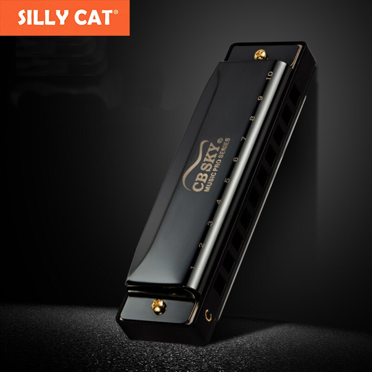 Diatonische Blues Harmonica Harp 10 Gaten Melodica Sleutel C Harmonica Blues Populaire Rock Land Folk Jazz Harmonica Volwassen Kind