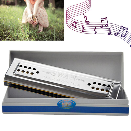 Professionele Swan 24 Holes Sleutel Van C & G Double-Side Tremolo Harmonica Voor Harmonica Minnaar