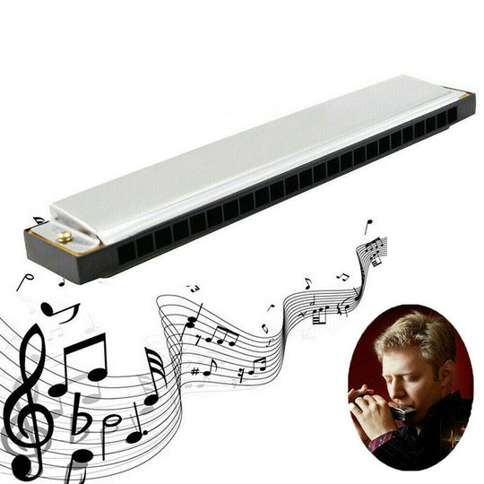 Professionele 24 Hole Harmonica Key C Mondharmonica Hobby Training Voor Beginners Muziekinstrument Met Clear Opbergdoos