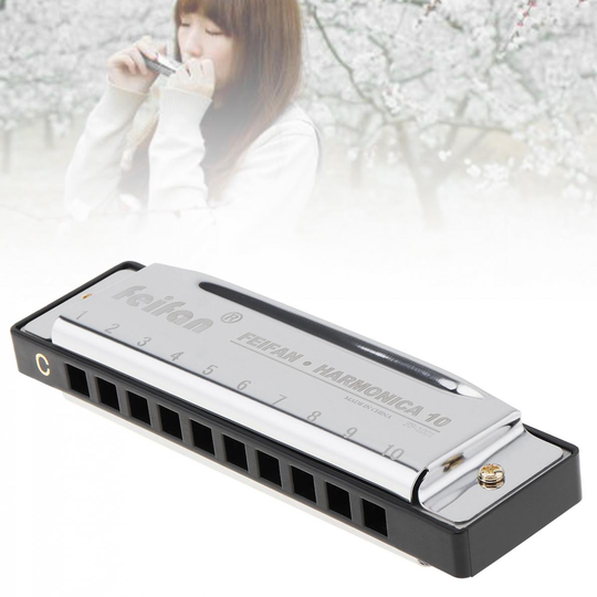 Harmonica 10 Gaten 20 Tone Blues Harmonica Tonec 8K Titanium Mondharmonica Met Case Voor Kinderen En Beginners