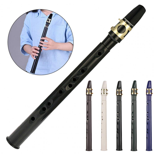 Mini Pocket Saxofoon Draagbare Plastic Oefenen Training Sax Instrument Met Sax Rieten Draagtas Tand Pasta 'S Voor Beginners